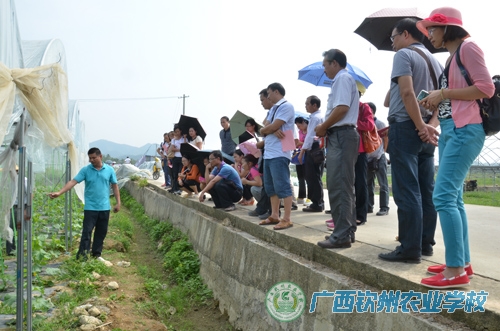 防城港企沙镇景点_防城港那良镇人口