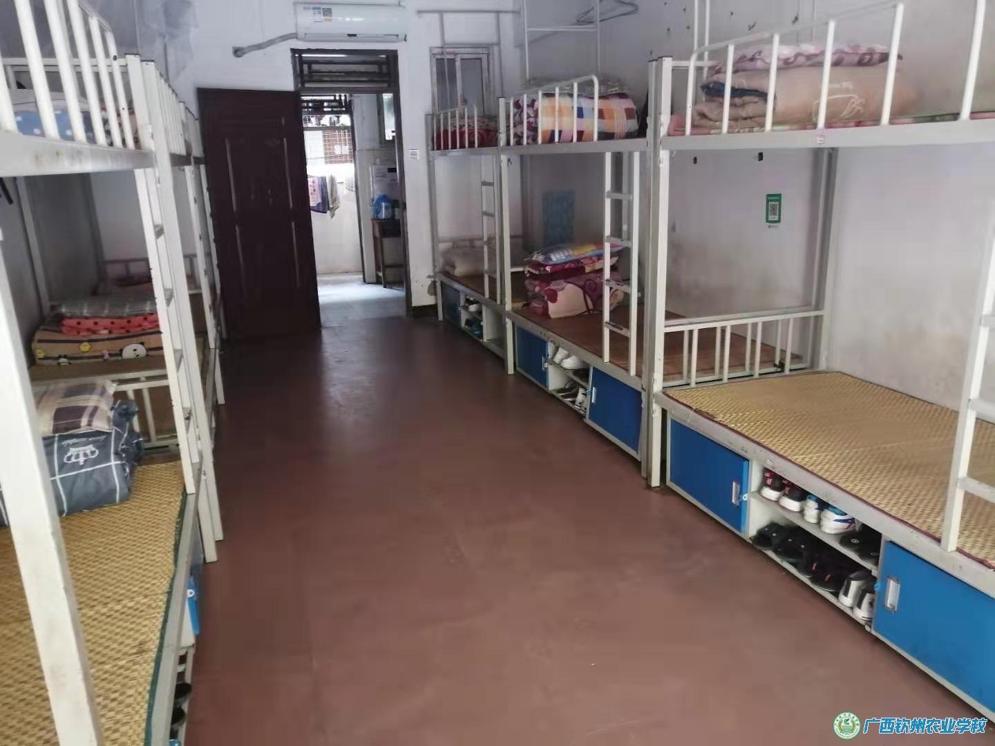 我校学生准军事化管理初见成效